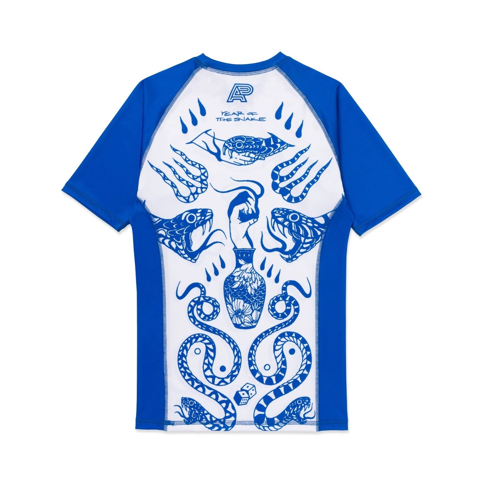 Conjunto de Rash Guard y Panta - Rash Guard reseña y precio